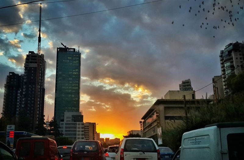  Beauty  is around us  bluesky  birds  urban  paysage  streets of ...