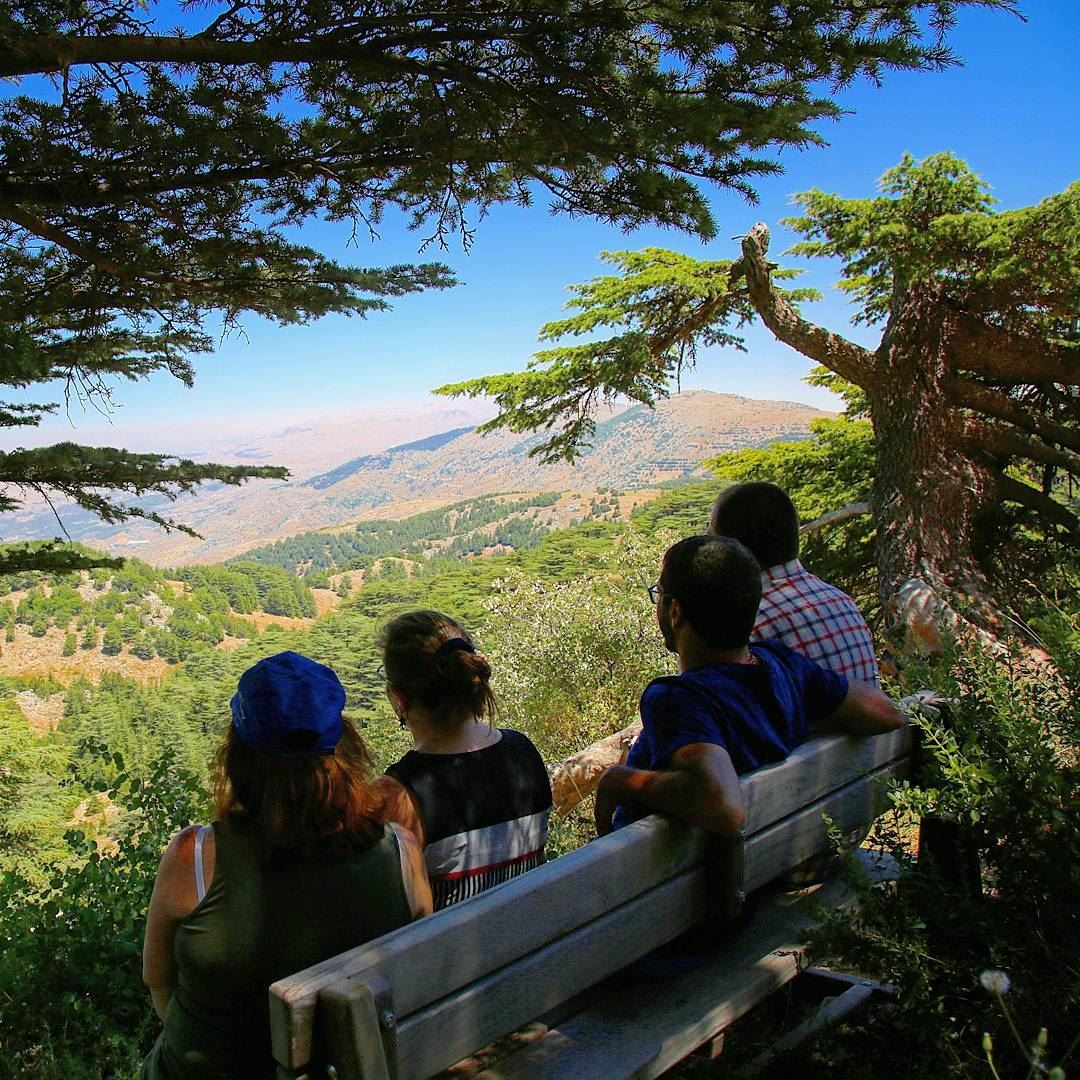 Because some questions can't be answered by Google ❤ hiking ... (Arz el Chouf)