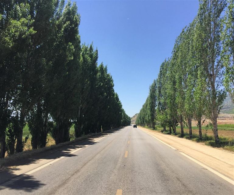 Because the greatest part of a road-trip isn't arriving at your... (West Bekaa)