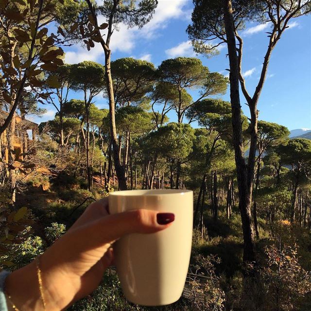 Begin your day with a cup of coffee in the middle of wilderness! ☕🌳 Photo...