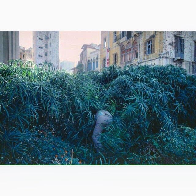 Beirut-1982  the green line demarcation zone between east and west during the civil war ,