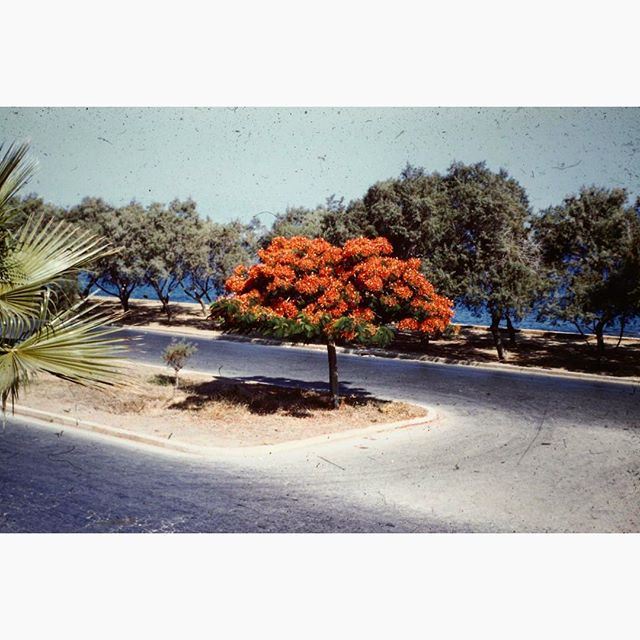 Beirut Corniche Al Manara 1957 .