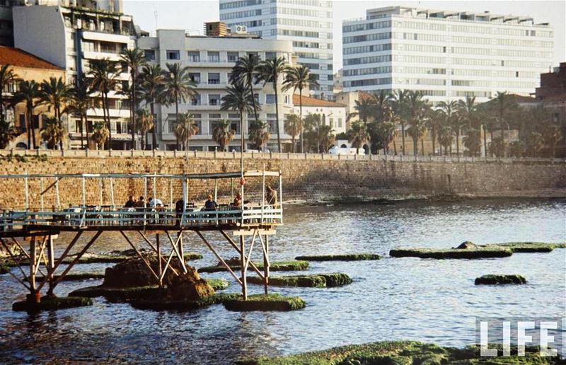 #Beirut Haj Daoud Cafe 1966