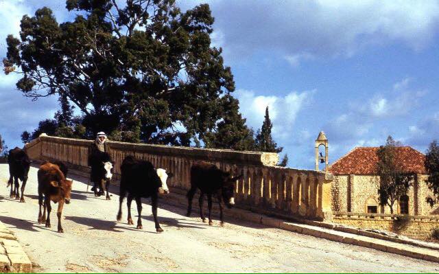 Beirut Jisr El Bacha 1950