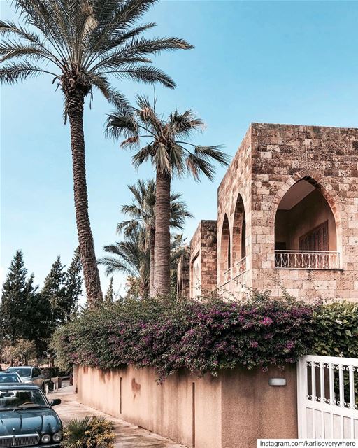 🏡 Beirut nature... (Byblos, Lebanon)