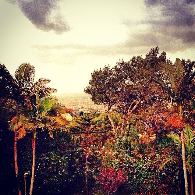  beirut view colorful garden multicolor trees clouds Lebanon...