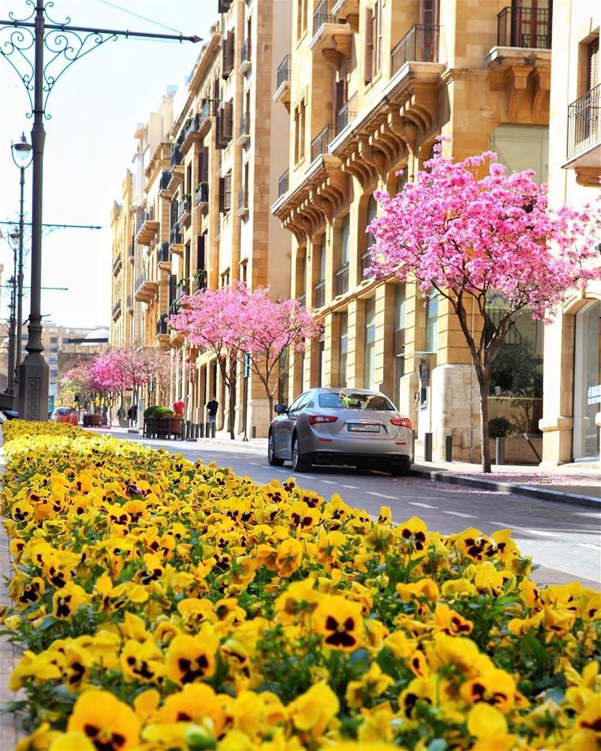 Beirute por @nathaliezeidan. Um bom dia a todos! 🇱🇧 Beirut by @nathalieze (Downtown Beirut)