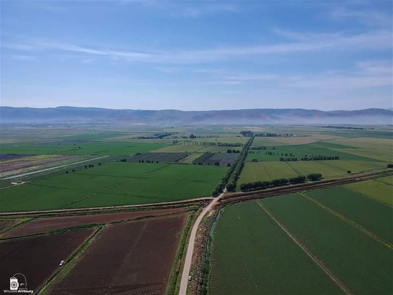  bekaa bekaavalley greenland greenfield nature naturelovers landscape... (Bekaa Valley)