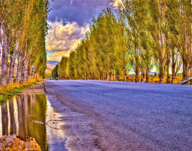  Bekaa valley Lebanon nature landscape photography hdr naturelovers... (Aammiq, Béqaa, Lebanon)