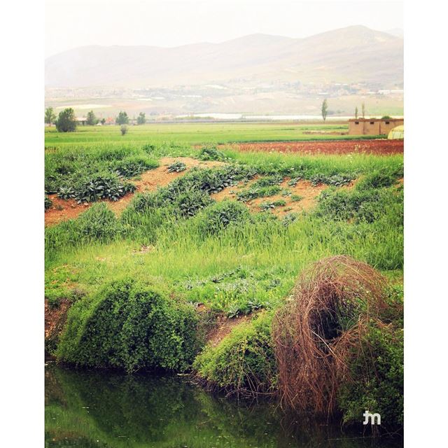 - Bekaa valley -.. ptk_lebanon  amazinglebanon  lebanon_hdr  lebanon ...