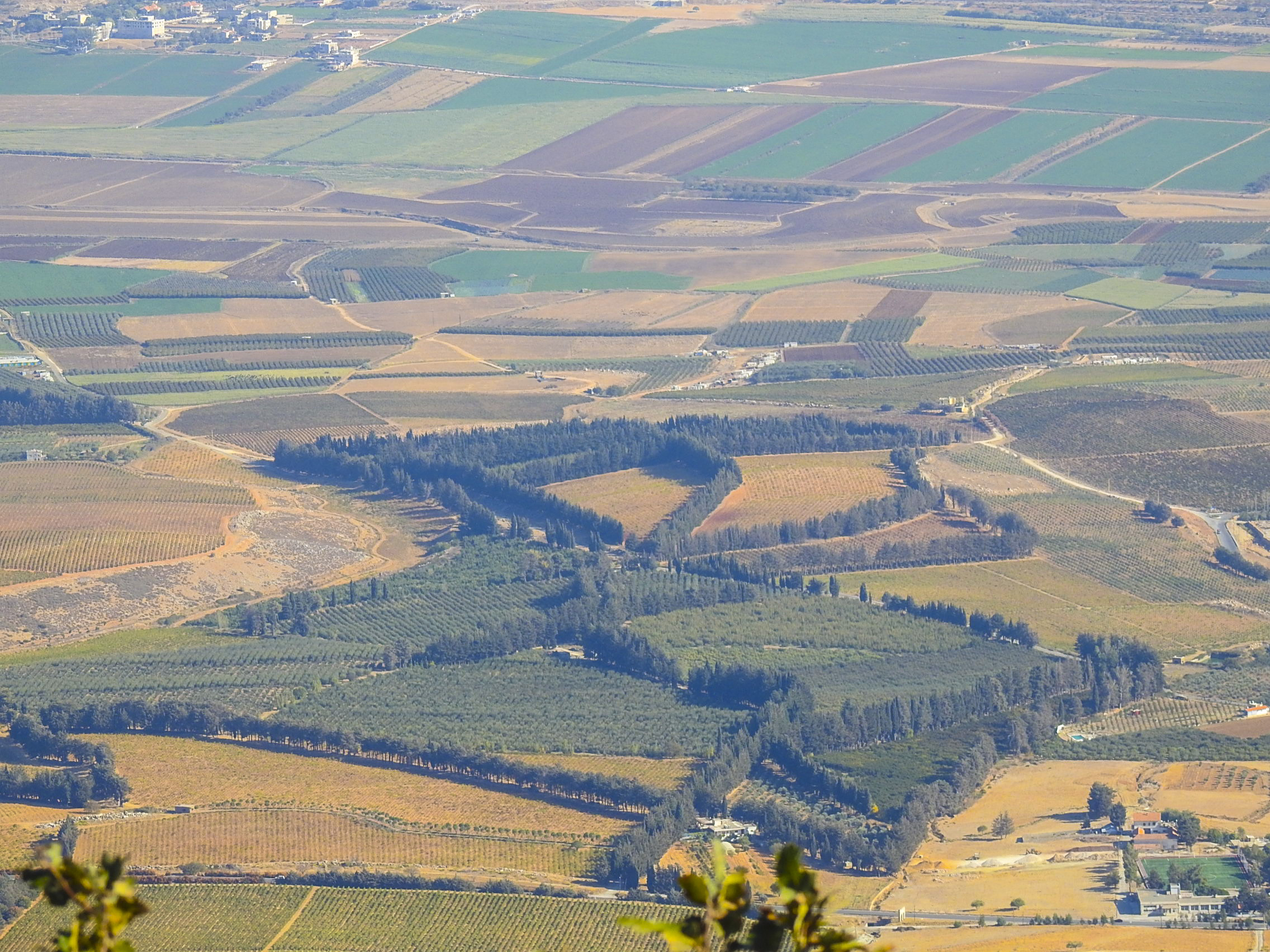 Bekaa valley