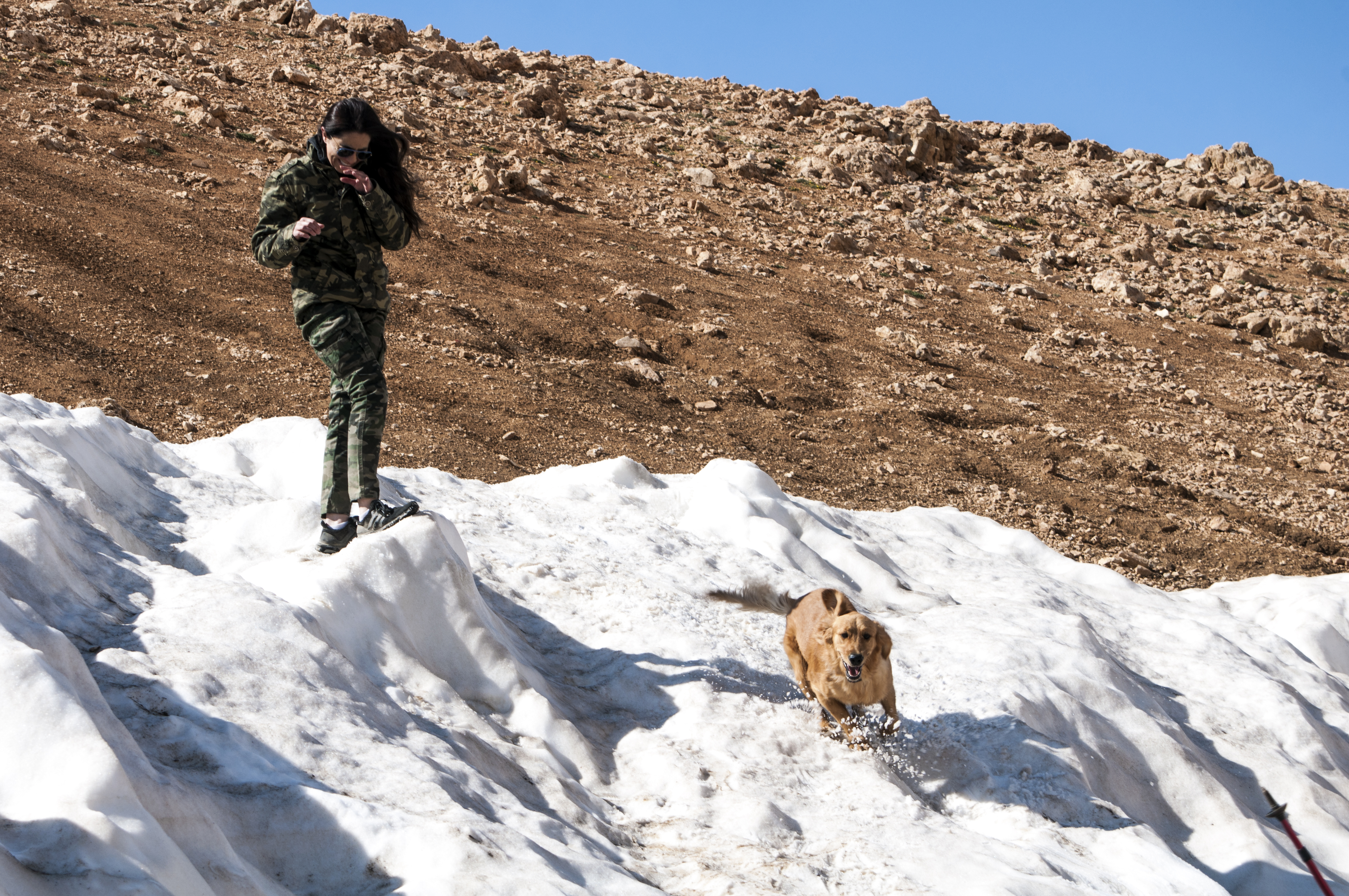 Bella Jumping on Snow (Black Peak)