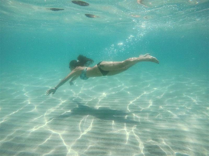 Beneath the waves, where I am free 🐬 (UNDERWATER)