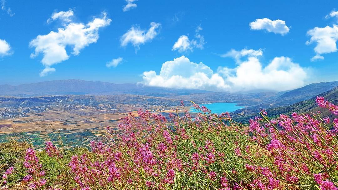 Best  Dreams Happen when you're awake. LiveLoveBekaa  LiveLoveLebanon... (Mount Lebanon Governorate)