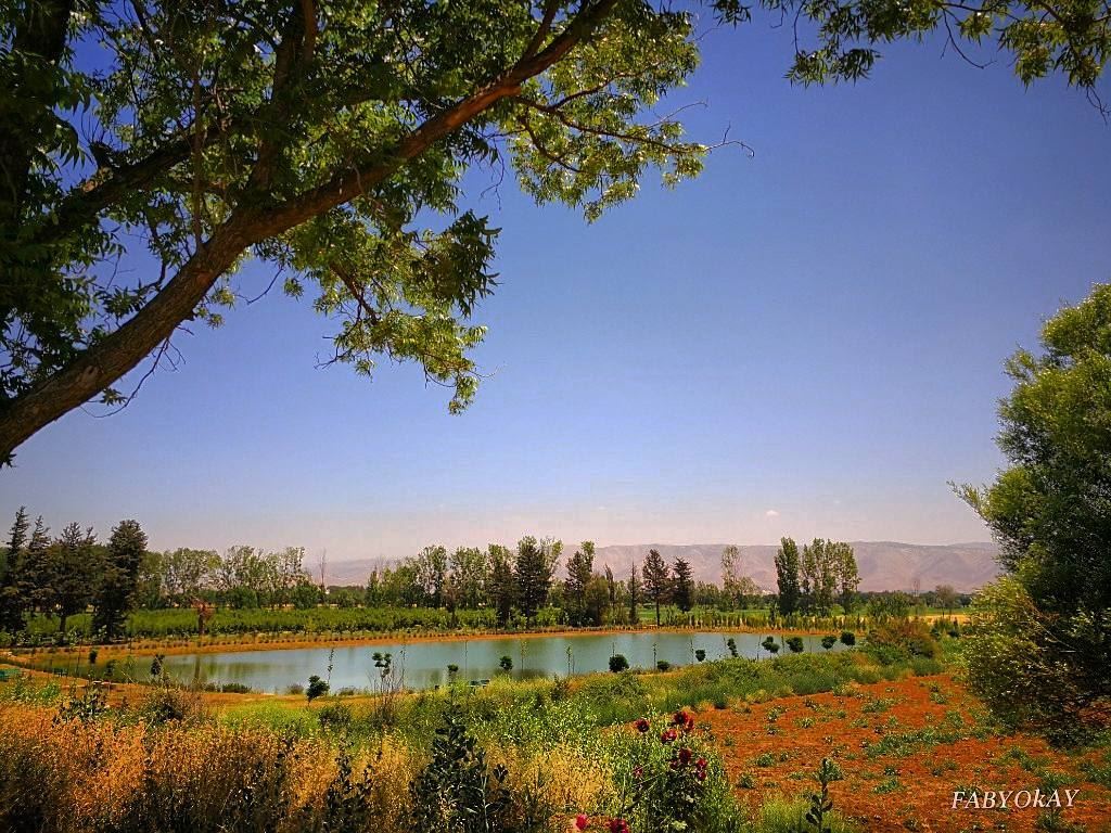 =======================================BEST FROM LEBANON LOCATION :TAANAY (Taanayel Lake)