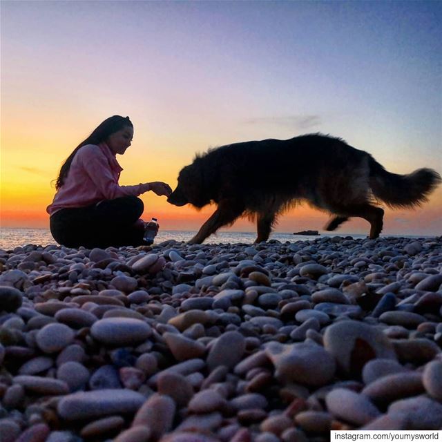 Best therapy 💕🐕🌊 (Byblos, Lebanon)