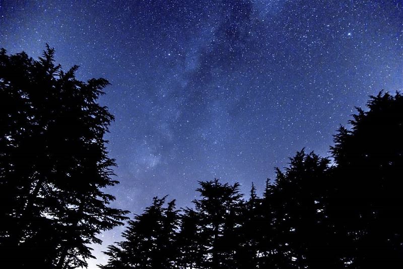 Between the cedars🌌 myadventureslebanon  nightphotography  lebanon ...