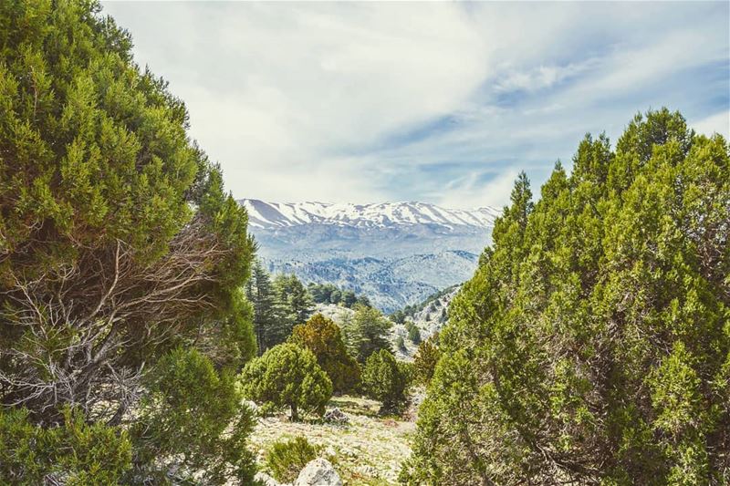 Beyond that mountain lie your dreams... (`Akkar, Liban-Nord, Lebanon)