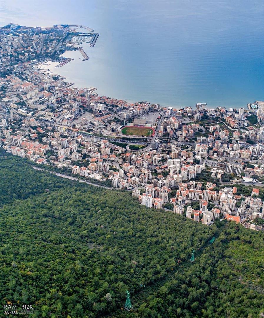 Beyond The Wild Wood🌳Comes The Wide World 🏢 .By @rami_rizk89  Jounieh ... (جونية - Jounieh)