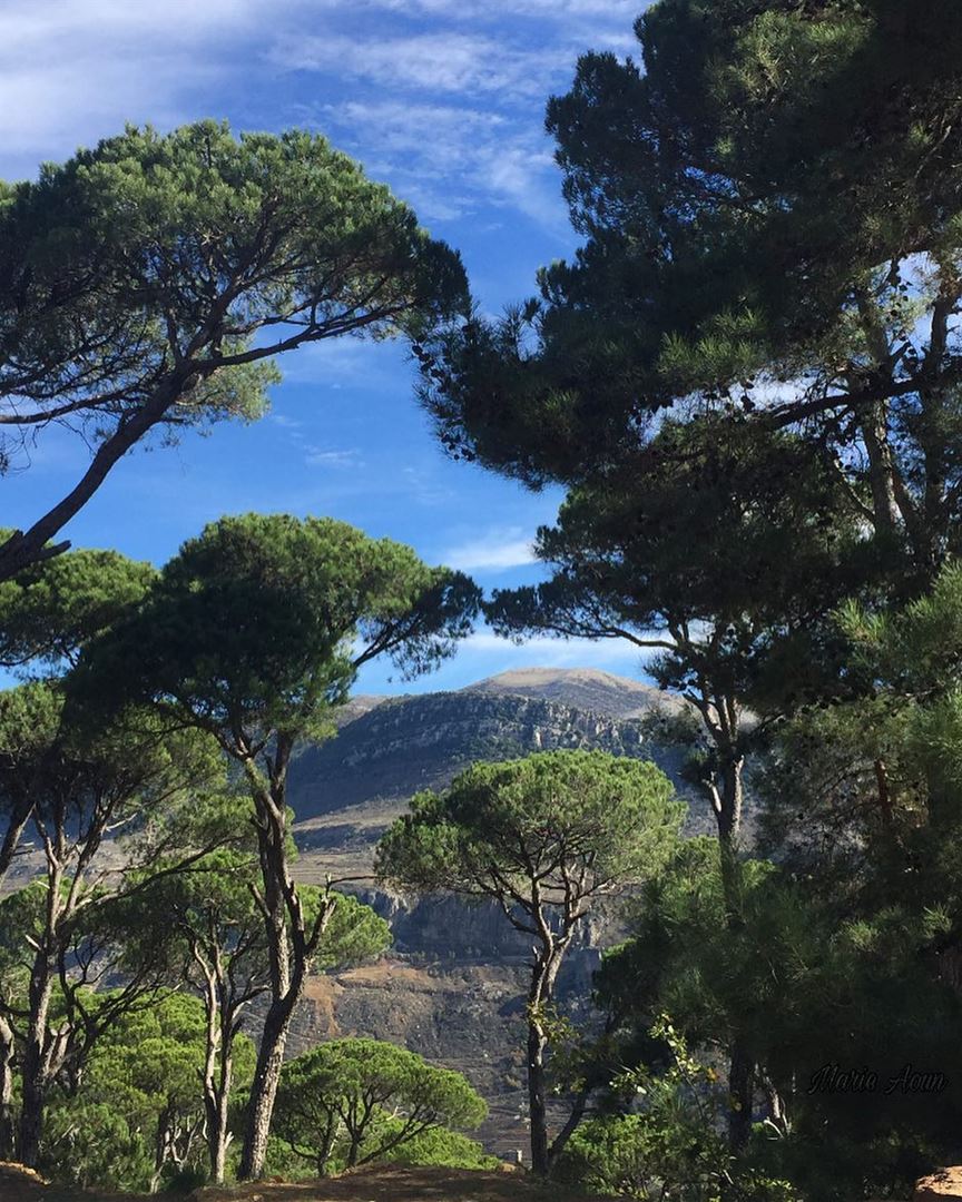  bkassine  jezzine  insta_jezzine  autumn  nature  naturephotography ...