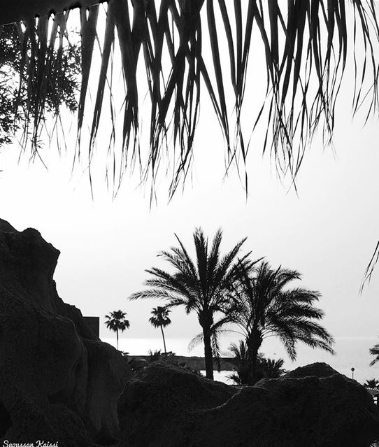  blackandwhite  monochrome ...
