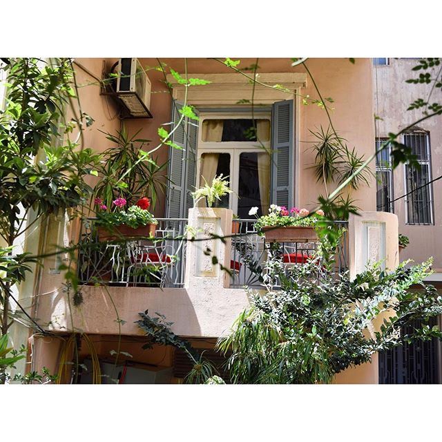 Blooming balcony in Beirut 🌿🌸🌹liveauthentic (Beirut, Lebanon)