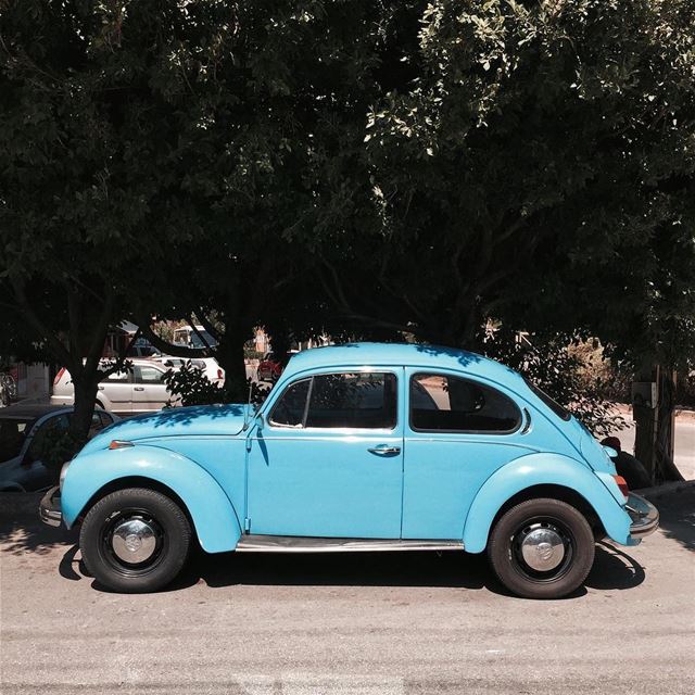 Blue beetle 🐞 Beirut iamatraveler shotoniphone vintage.....- [ ] ... (جونية - Jounieh)