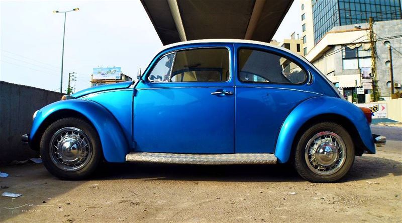Blue love, Das Auto 💙💙💙 (Zouk)