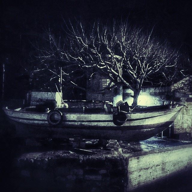  Boat  Byblos  Tree  Sea  Cold  NightPhoto ... (Port Byblos)