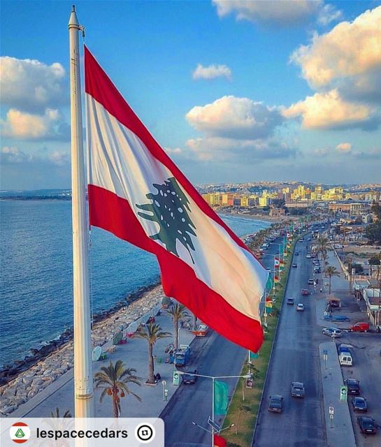 "Bom dia, direto da linda costa do sul do Líbano 🇱🇧 Sabah el kheir,...