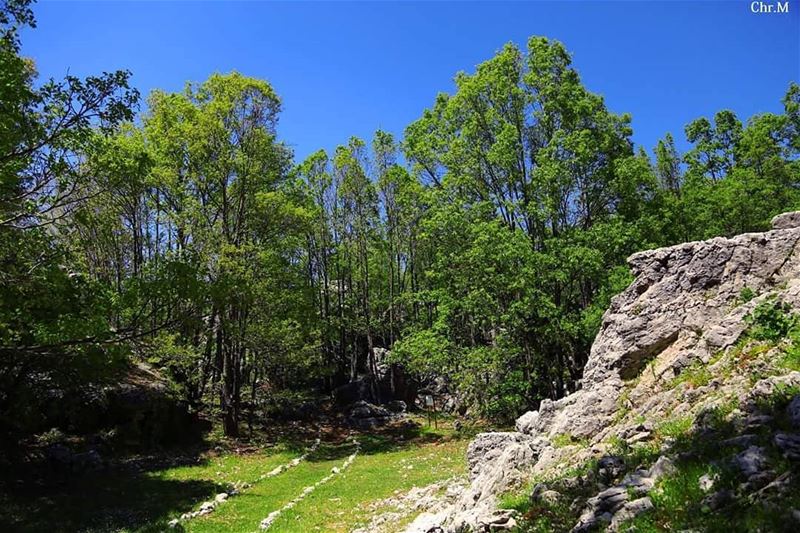 Book your hike and unveil the hidden gems of  JabalMoussa ~ unescomab ...