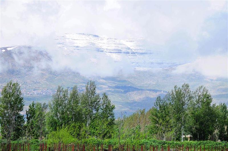 Breathtaking  lebanonphotography  lebanon_hdr  lebanon  insta_lb ... (Bekaa Valley)