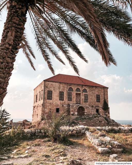 Byblos houses🏡ps: Merry Christmas Everyone✨ Beirut nature... (Byblos - Jbeil)