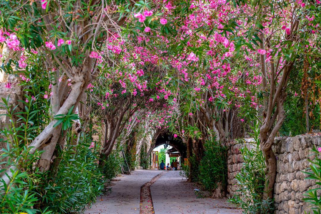 Byblos in the Morning