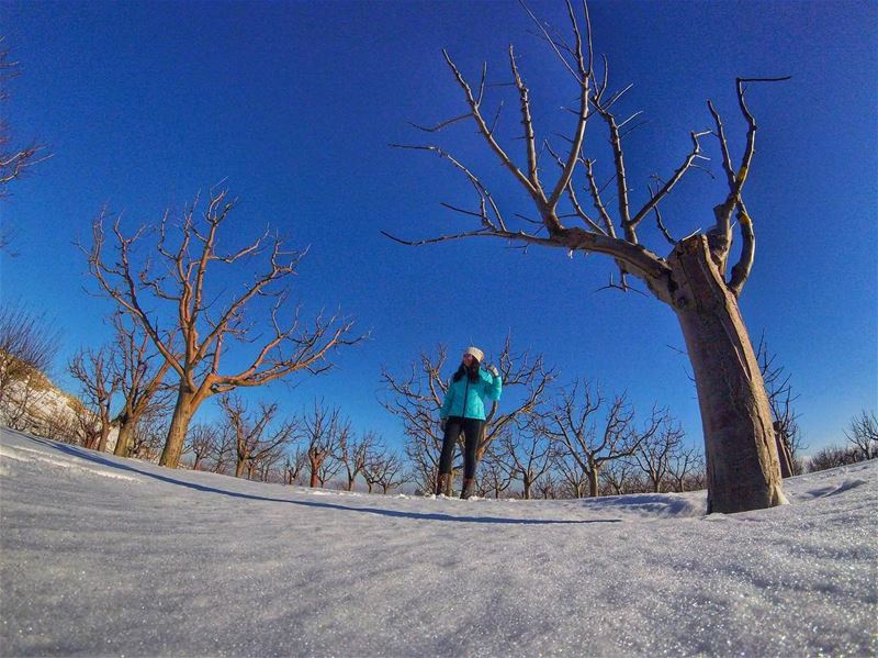 Calling on blue skies ❄️ (Mount Sannine)