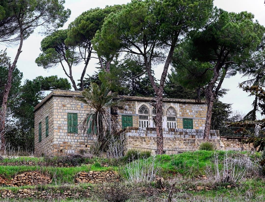 Camouflaged @livelovemarjeyoun (Marjayoûn, Al Janub, Lebanon)