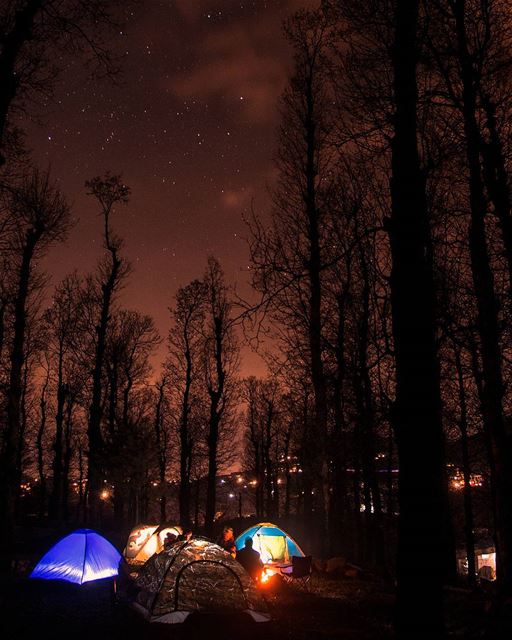 🌌⛺Camp.Explore.Dream.Discover.⛺🌌.... sunday spring forest camp... (Fnaydek Akkar)