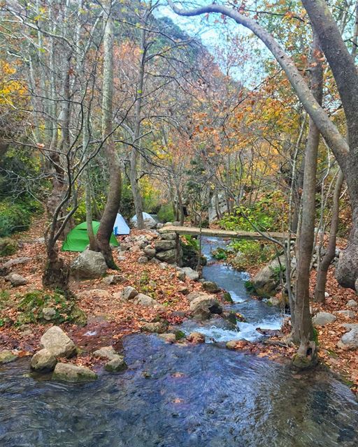 Camp, Hike, Cook, Drink, Eat, Repeat,... (Lebanon)