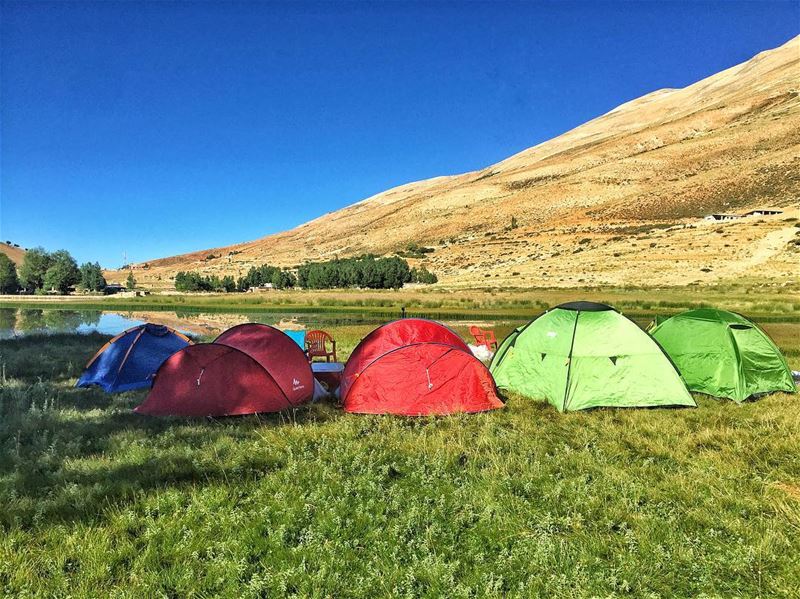 Camping with a...