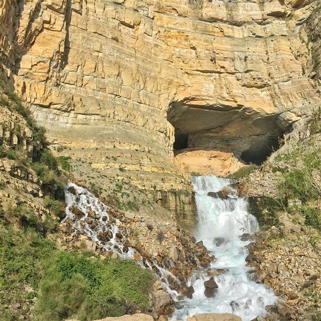 Can you smell the fresh water? (Mghâret Afqa)