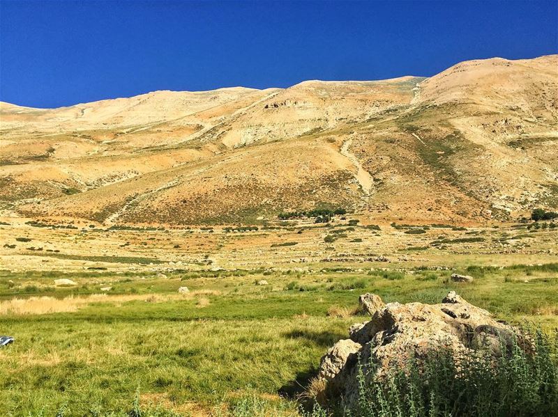 Capture me... (Lebanon)