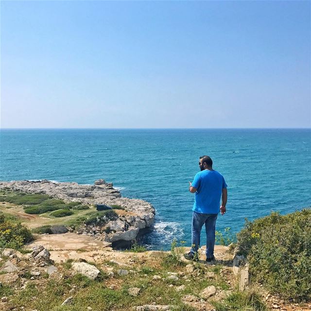 Caught in the act by @christinemaalouf (Hamat)