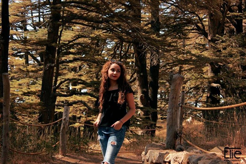  cedarsofgod  cedars  lebanon  2017  photoshoot ... (Cedars of God)