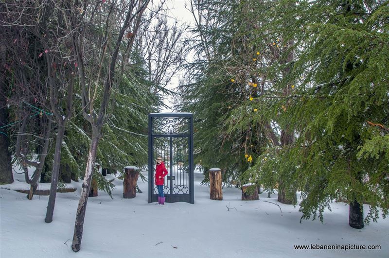 Chaperon Rouge in The Snowy Forest and the Lonely Door (Laklouk, Lebanon)