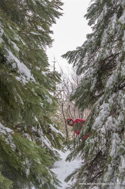 Chaperon Rouge in The Snowy Forest and the Lonely Door (Laklouk, Lebanon)