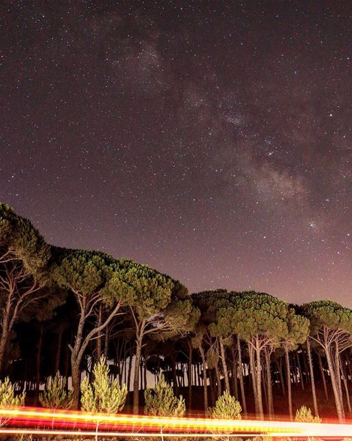 Chasing the  milkyway .... night nightphotography nightshot landscape... (Jezzîne, Al Janub, Lebanon)