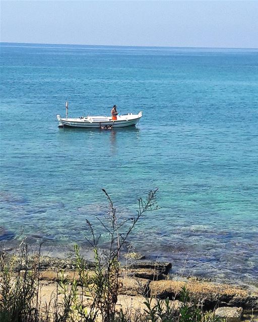Chilling by the sea 🌊  Batroun  Lebanon  Lebanese  Mediterranean  sea ... (CNRS- National Center for Marine Sciences)