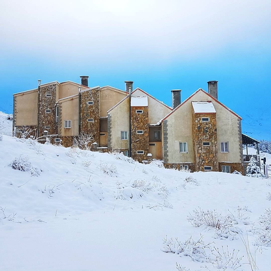 Choose your Chalet for new year🏠🏠🏠🏠  livelovebeirut  wearelebanon  ... (Cedars of God)