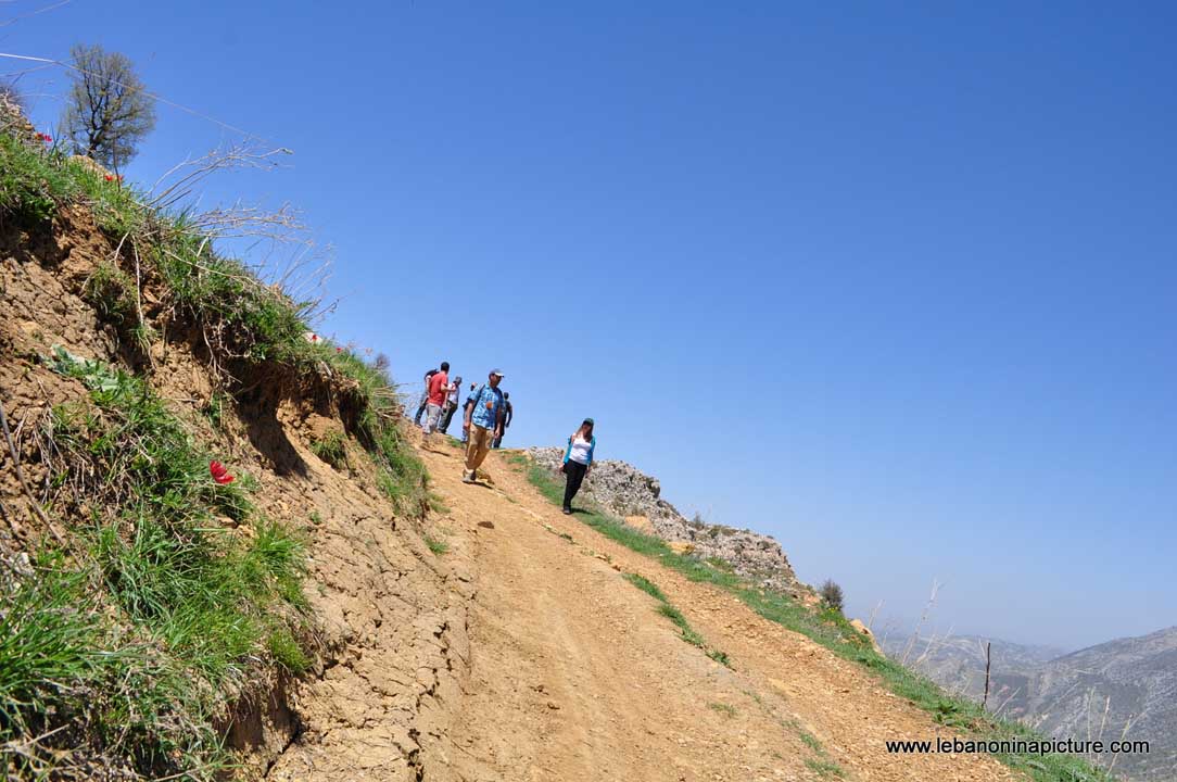 Chouf Bioshphere Reserve Niha Fort