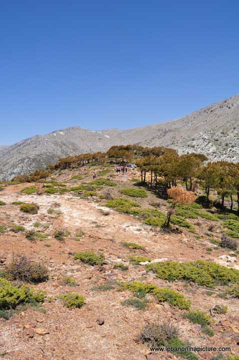 Chouf Bioshphere Reserve Niha Fort